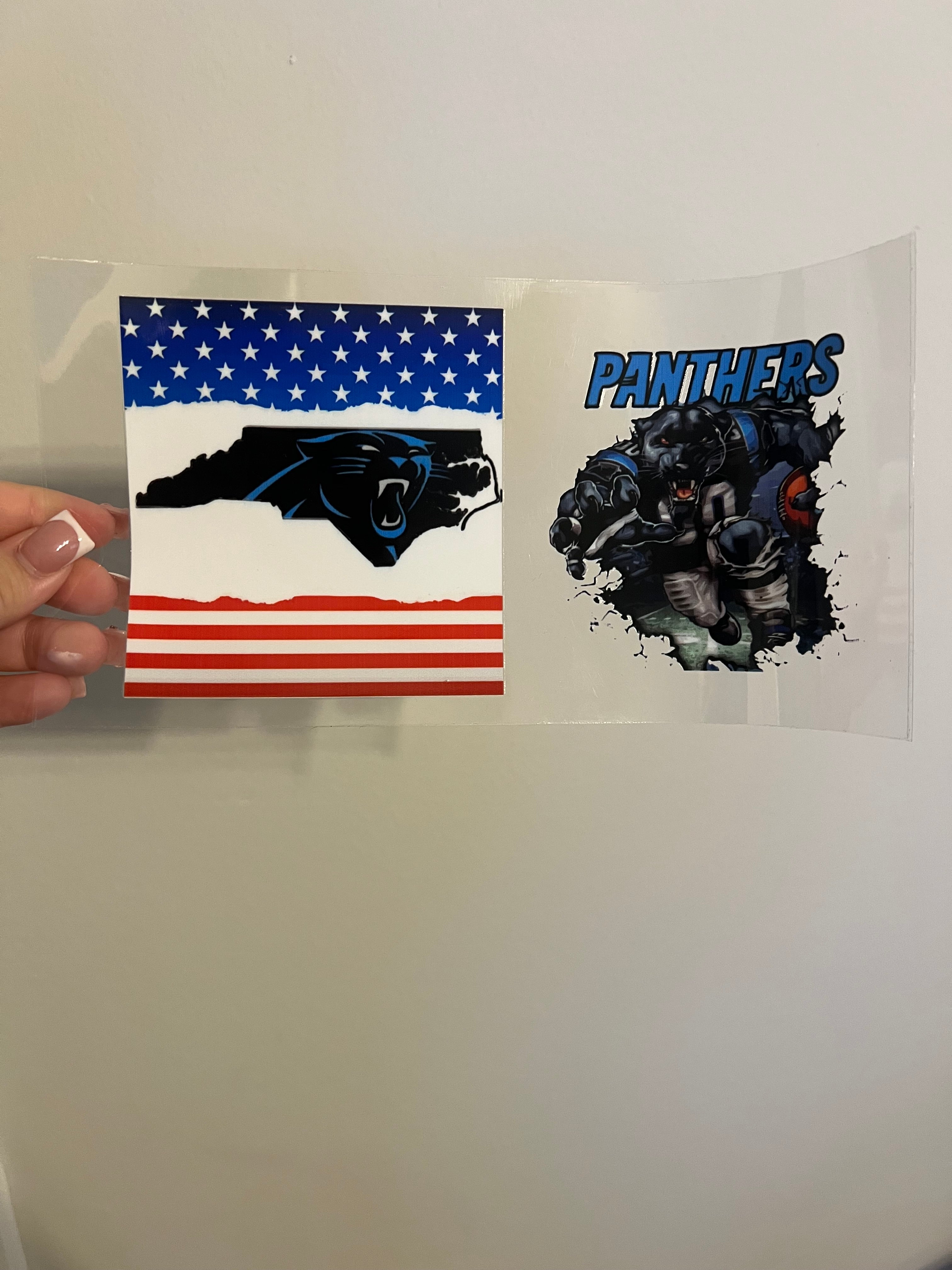 Panthers Decal #3