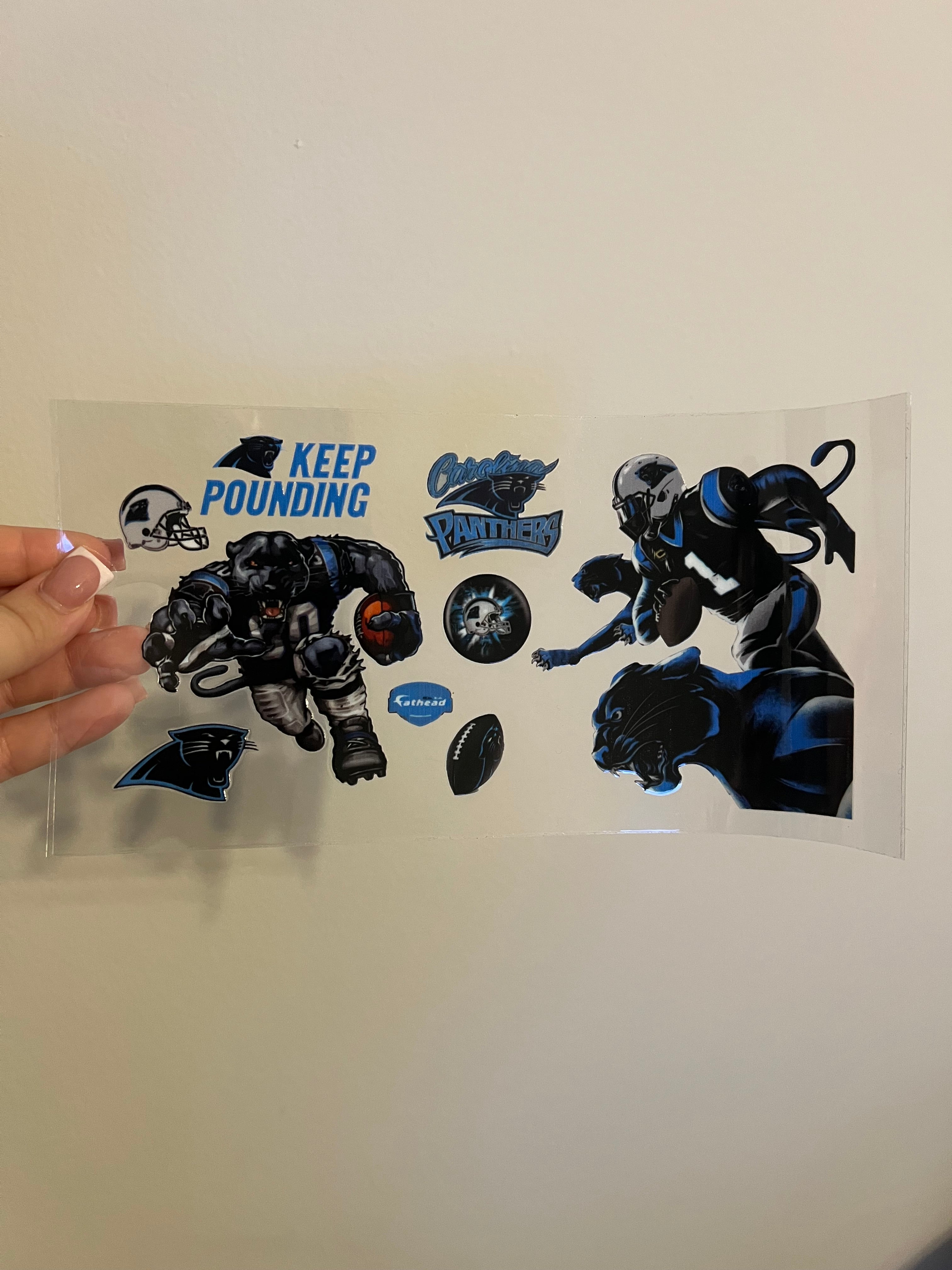 Panthers Decal