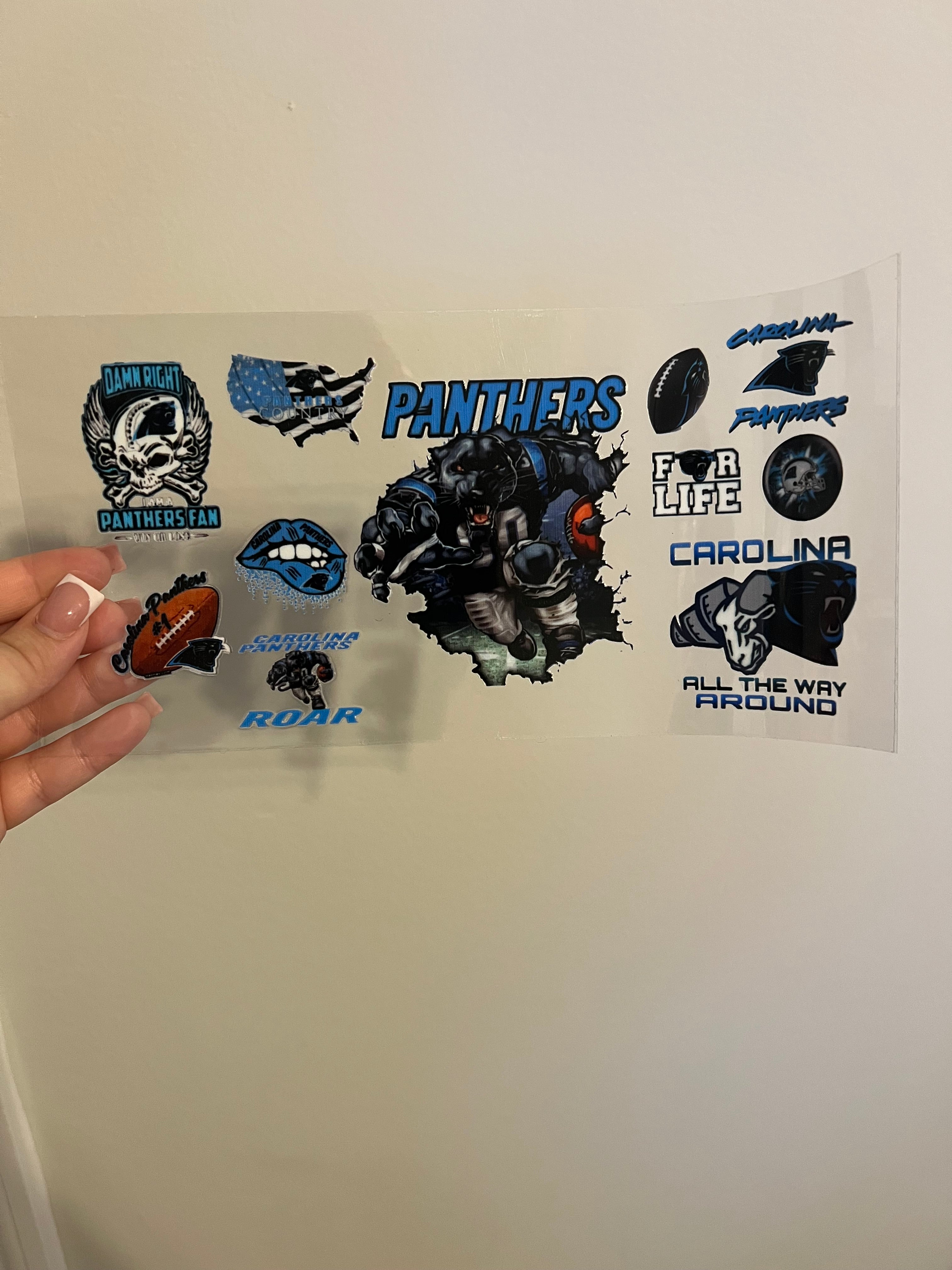 Panthers Decal #4