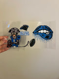 Panthers Decal #2